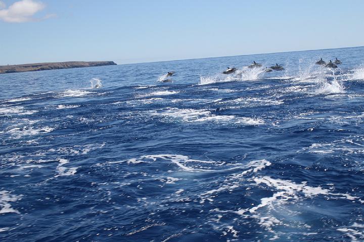 Azul 020.jpg